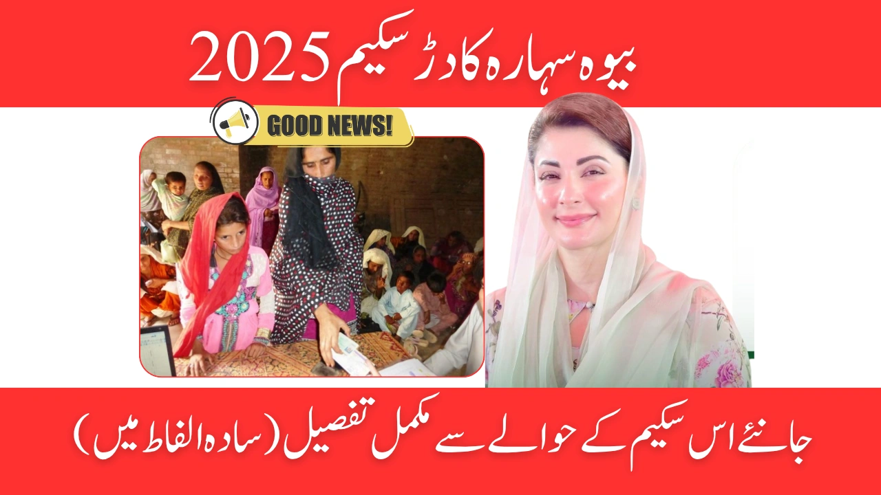 Bewa Sahara Card 2025 Government Help for Widows – Who Can Apply and How