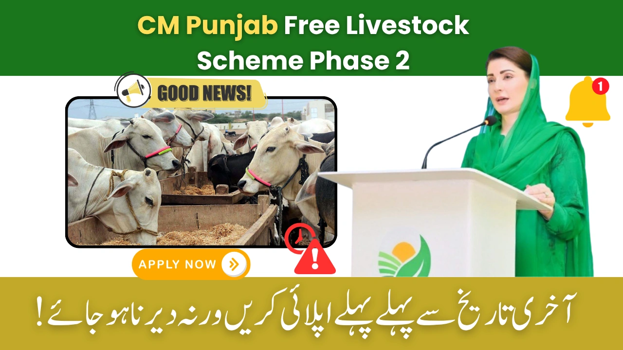 CM Punjab Free Livestock Scheme Phase 2 Begins – Apply Before June 15, 2025!