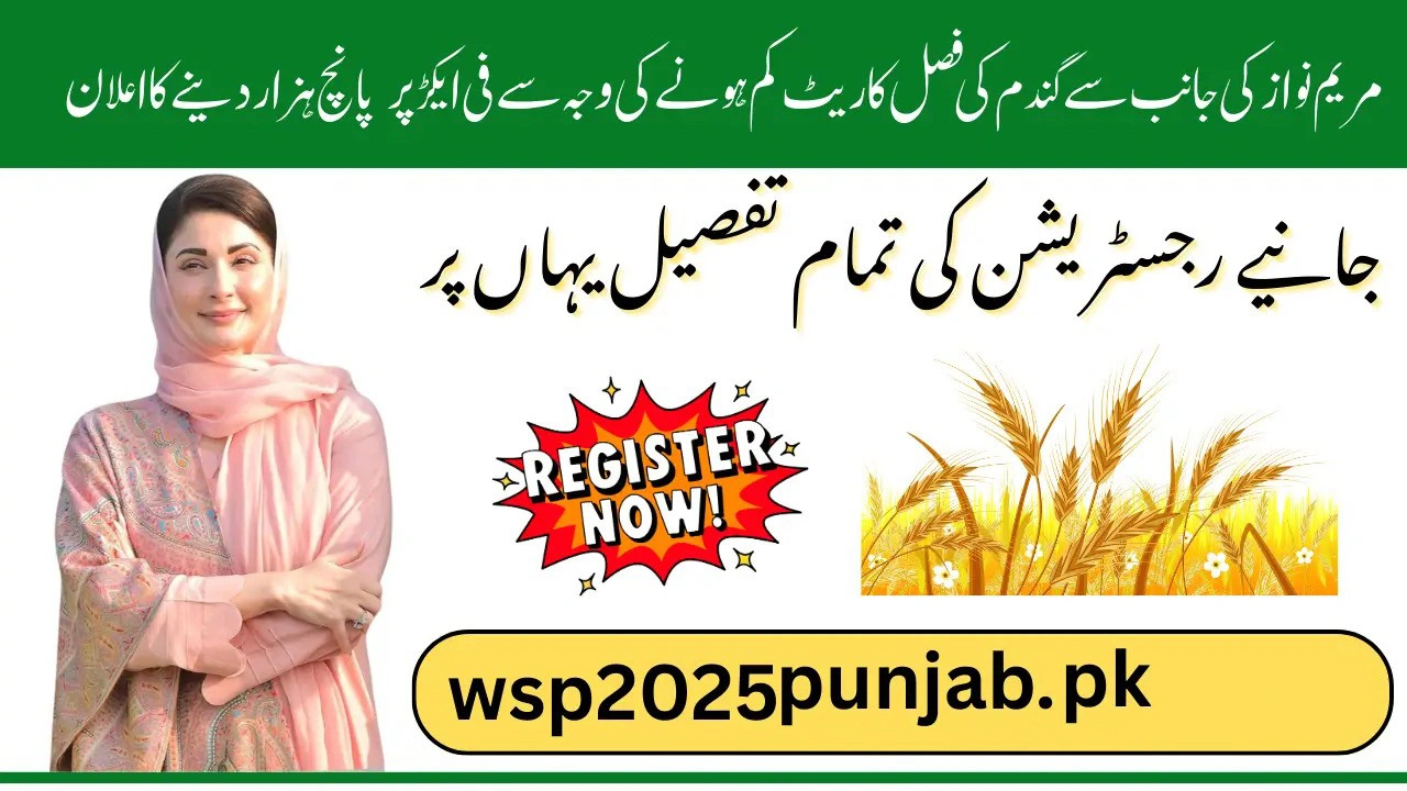 CM Punjab Wheat Support Program 2025